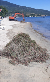 Balıkesir'de koruma altındaki deniz çayırları söküldü