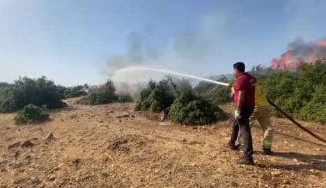 Kahramanmaraş'ta 2 noktada orman yangını (2)