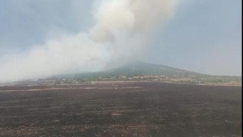 Kahramanmaraş'ta orman yangını