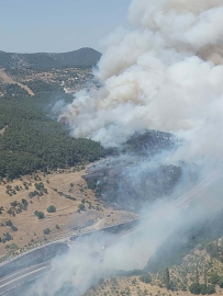 İzmir'de orman yangını