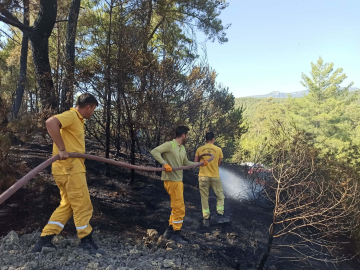 Muğla'da orman yangını (2)