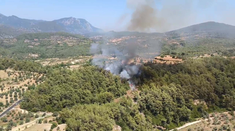 Muğla'da orman yangını