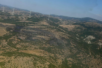 Manisa'da orman yangını (2)