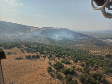 Manisa’da maki yangını (2)