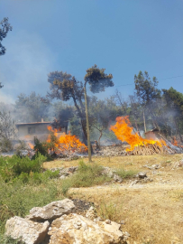 Balıkesir'de orman yangını