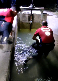 Mersin'de sulama kanalında erkek cesedi bulundu