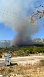 Antalya'da orman yangını