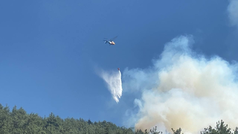 Kahramanmaraş’ta orman yangını (3)