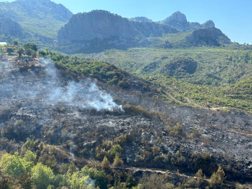 Antalya'daki orman yangını kontrol altında (2)