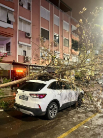 Antalya'da fırtına ağaçları devirdi, seraları yıktı