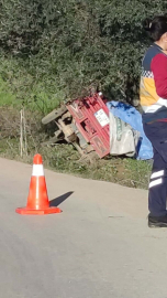 İzmir'de 3 tekerlekli motosiklet zeytin ağacına çarptı; 2 kardeş öldü